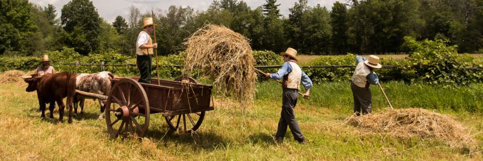 Farmers bringing in the hay at Old Sturbridge Village