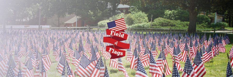 Field of Flags