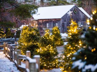 Christmas by Candlelight: The Horse-Drawn Ride Goes by the Richardson House
