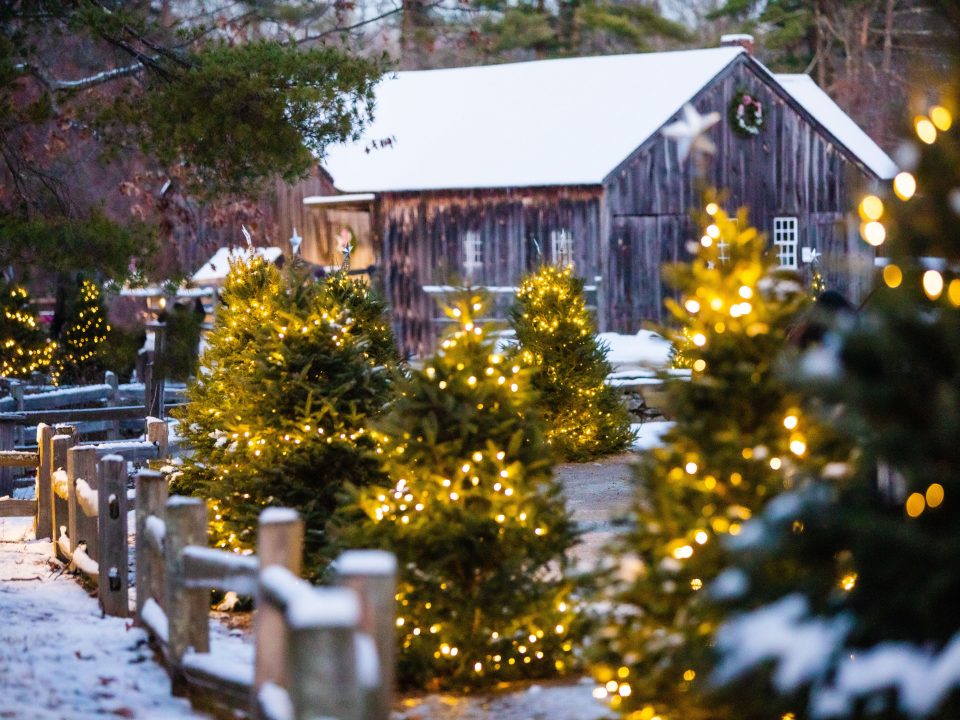 Christmas by Candlelight: The Horse-Drawn Ride Goes by the Richardson House