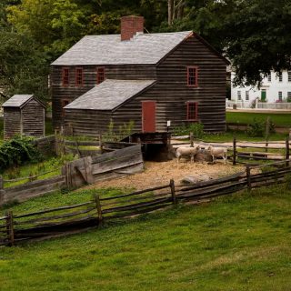 Fenno House exterior with sheep