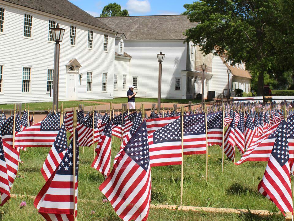 Field of Flags