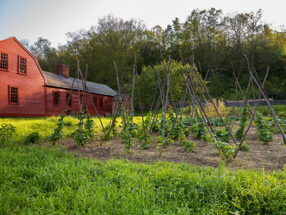 Freeman Kitchen Garden