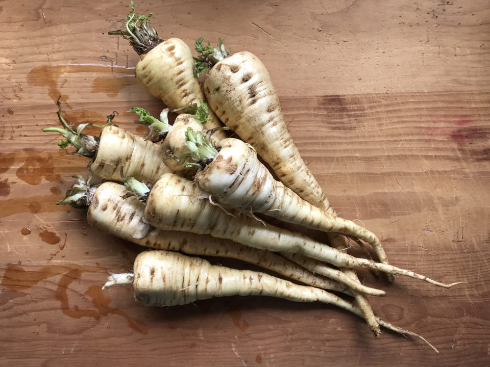 Parsnips on board