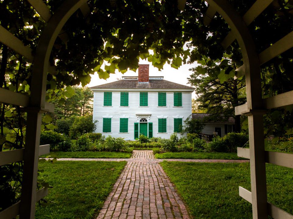 Under the Grape Arbor in the Salem Towne Garden